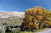 Creta - Lungo la strada da Retimo a Iraklion.